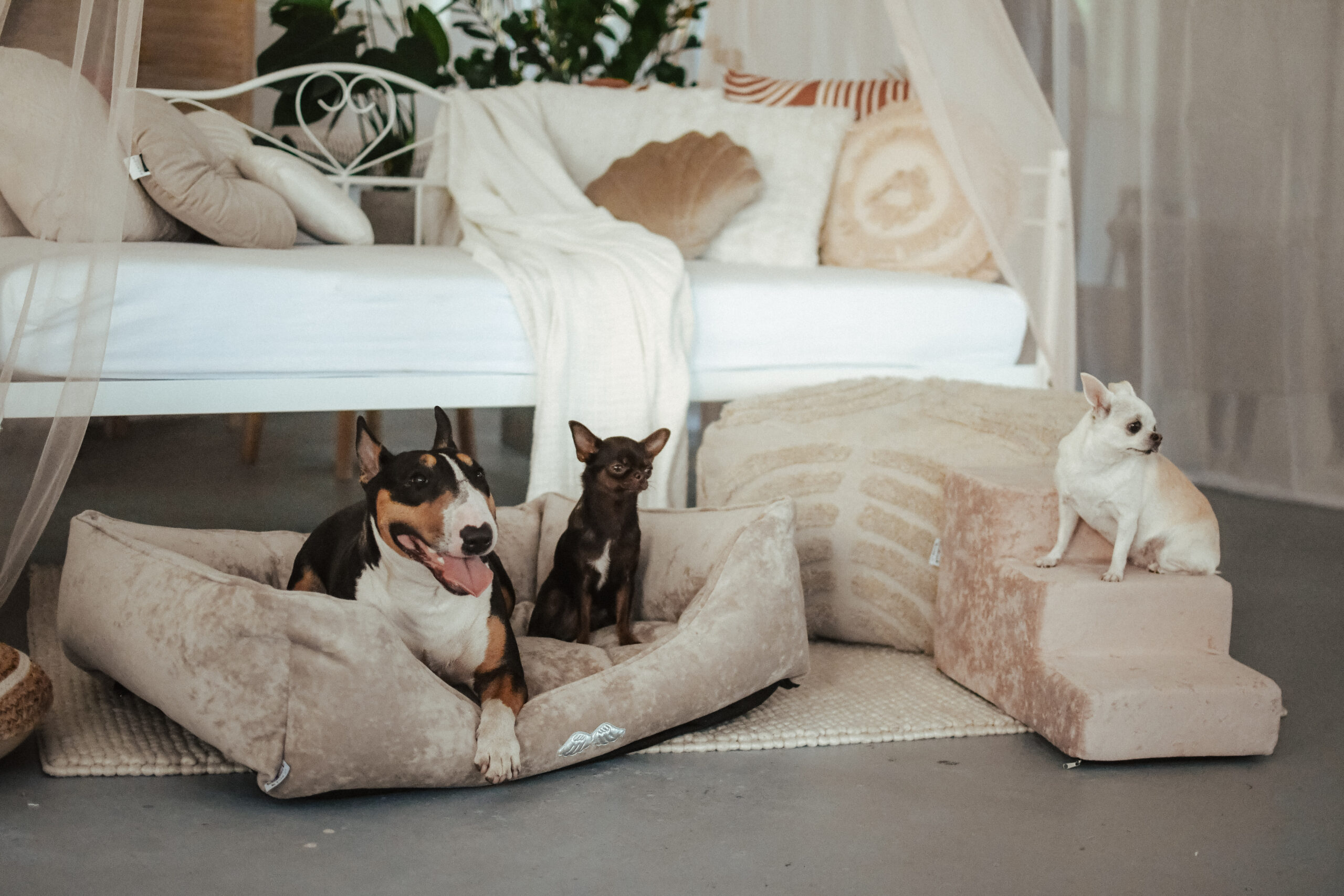 O nas Schodkowe Love O nas Schodkowe Love