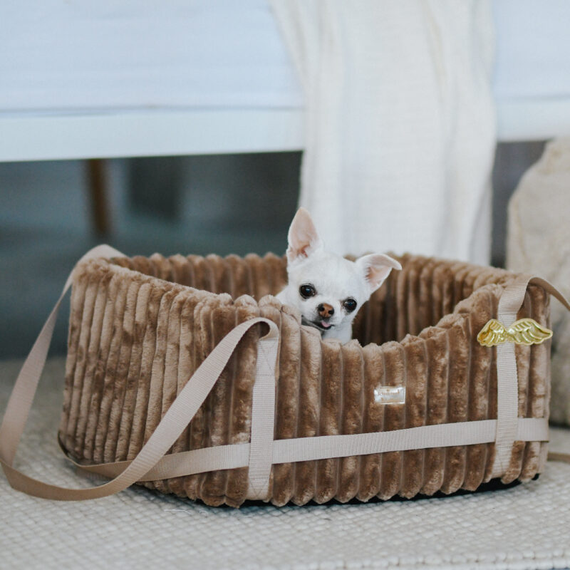 Fotelik transporter Perfetto fotelik dla kota, fotelik dla psa, transporter dla kota, transporter dla malego psa, transporter dla psa Fotelik transporter Perfetto fotelik dla kota, fotelik dla psa, transporter dla kota, transporter dla malego psa, transporter dla psa