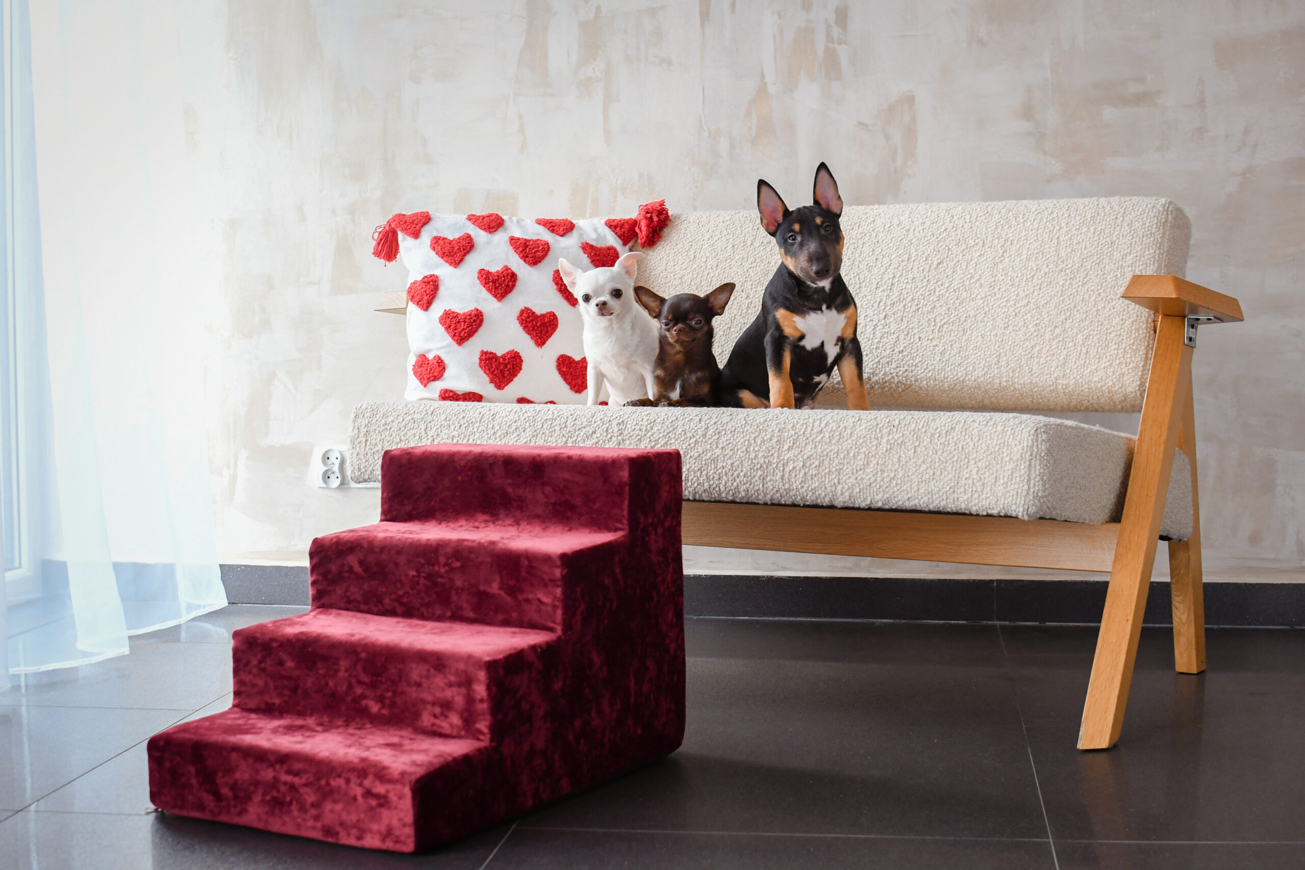 Schodki dla psa - dlaczego warto? Schodkowe Love