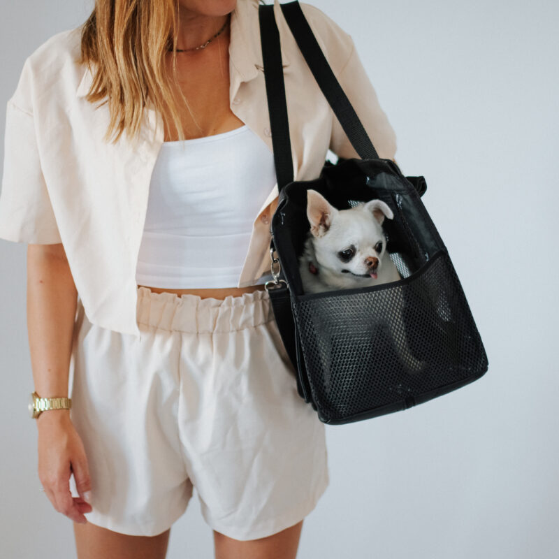 Torebka Summer designerska torba dla psa, elegancka torebka dla psa, modna torba dla psa, psia torebka, stylowa torba dla psa, torba dla małego psa, torba dla maltańczyka, torba dla psa butikowa, torba dla psa do samolotu, torba dla psa luksusowa, torba dla psa miejska, torba dla psa na ramię, torba dla psa ręcznie robiona, torba dla pupila, torba dla yorka, torba do noszenia psa, torba na psa do miasta, torba na psa do noszenia, torba transportowa dla psa, torebka dla psa, torebka na chihuahua, wygodna torba dla psa  Torebka Summer designerska torba dla psa, elegancka torebka dla psa, modna torba dla psa, psia torebka, stylowa torba dla psa, torba dla małego psa, torba dla maltańczyka, torba dla psa butikowa, torba dla psa do samolotu, torba dla psa luksusowa, torba dla psa miejska, torba dla psa na ramię, torba dla psa ręcznie robiona, torba dla pupila, torba dla yorka, torba do noszenia psa, torba na psa do miasta, torba na psa do noszenia, torba transportowa dla psa, torebka dla psa, torebka na chihuahua, wygodna torba dla psa