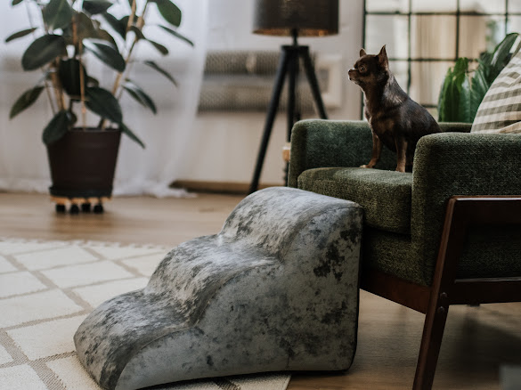 Schodki dla psa i kota Classic BUNIA podest dla psa, rampa dla buldoga, schodki dla buldoga, Schodki dla chihuahua, Schodki dla kota, Schodki dla psa, Schodki dla psa beżowe, Schodki dla psa butelkowa zieleń, schodki dla psa ikea, Schodki dla psa szare, Schodki dla psa woodoporne, Schodki dla yorka, Schodki dle małego psa  Schodki dla psa i kota Classic BUNIA podest dla psa, rampa dla buldoga, schodki dla buldoga, Schodki dla chihuahua, Schodki dla kota, Schodki dla psa, Schodki dla psa beżowe, Schodki dla psa butelkowa zieleń, schodki dla psa ikea, Schodki dla psa szare, Schodki dla psa woodoporne, Schodki dla yorka, Schodki dle małego psa