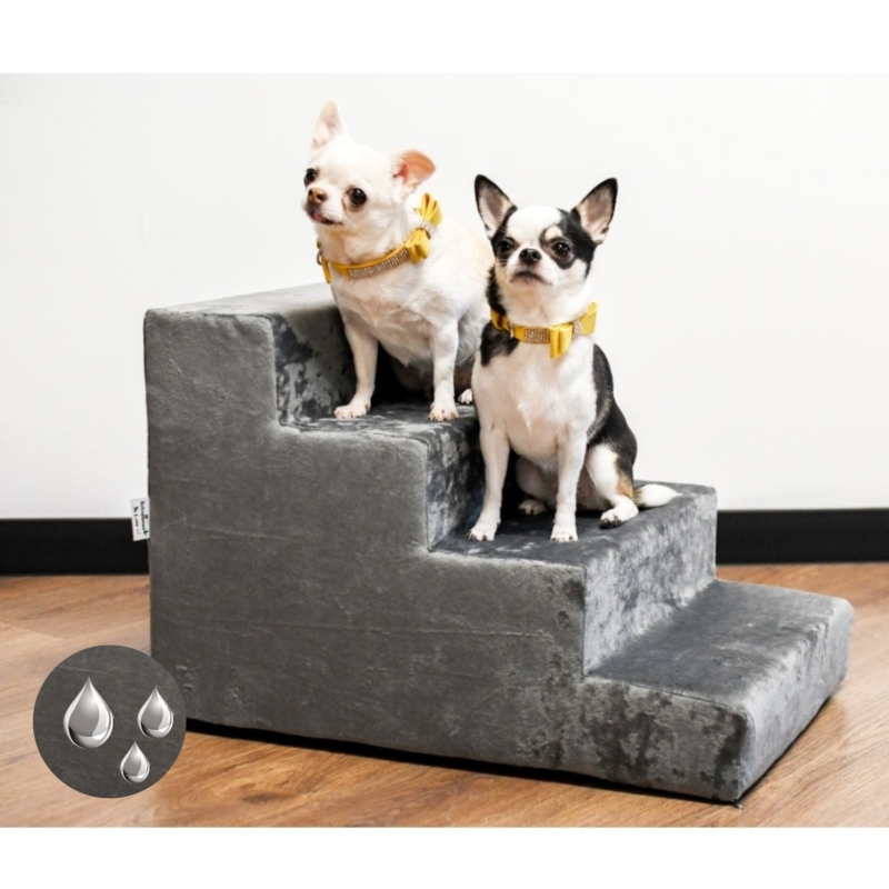 Schodki dla psa i kota Classic podest dla psa, rampa dla buldoga, schodki dla buldoga, Schodki dla chihuahua, Schodki dla kota, Schodki dla psa, Schodki dla psa beżowe, Schodki dla psa butelkowa zieleń, schodki dla psa ikea, Schodki dla psa szare, Schodki dla psa woodoporne, Schodki dla yorka, Schodki dle małego psa  Schodki dla psa i kota Classic podest dla psa, rampa dla buldoga, schodki dla buldoga, Schodki dla chihuahua, Schodki dla kota, Schodki dla psa, Schodki dla psa beżowe, Schodki dla psa butelkowa zieleń, schodki dla psa ikea, Schodki dla psa szare, Schodki dla psa woodoporne, Schodki dla yorka, Schodki dle małego psa