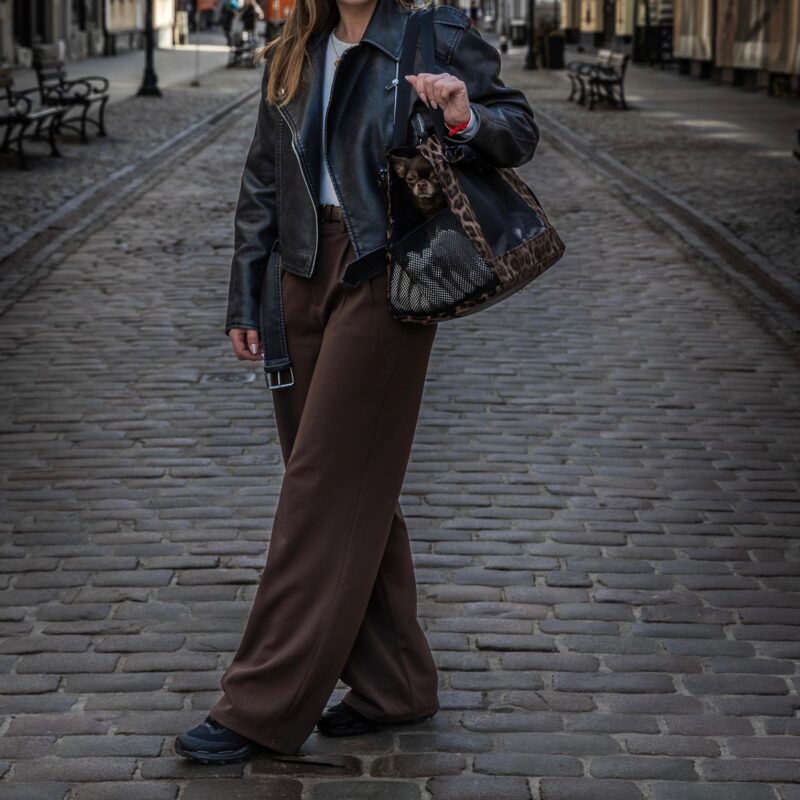 WhatsApp Image 2026-03-12 at 09.20.41 WhatsApp Image 2026-03-12 at 09.20.41