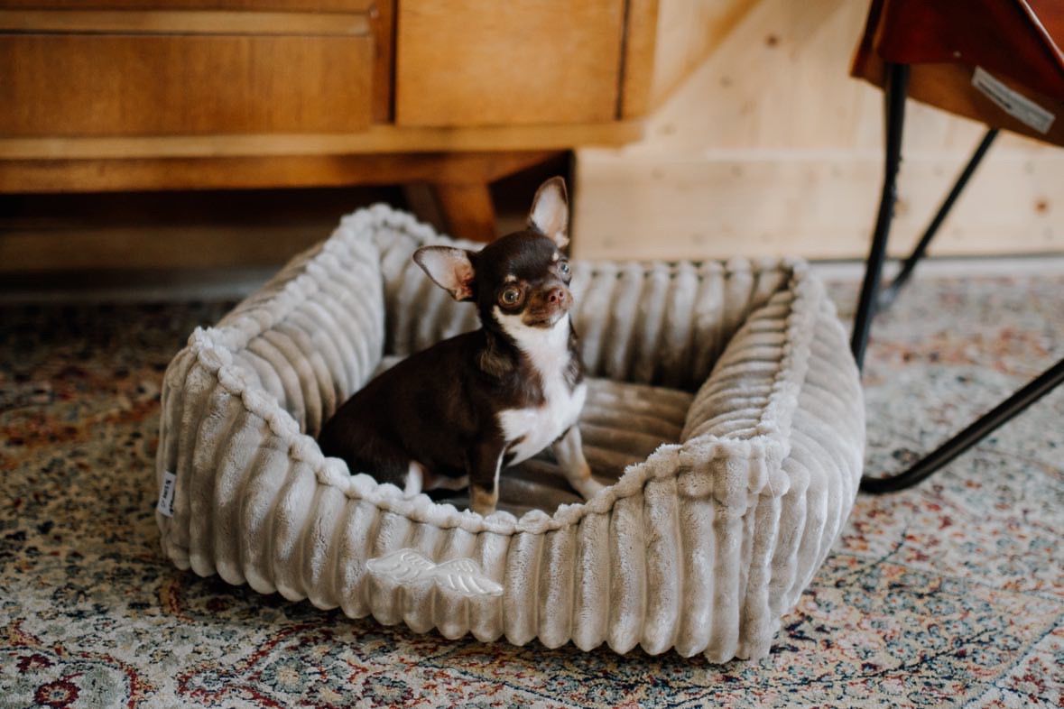 bunia legows bunia legows