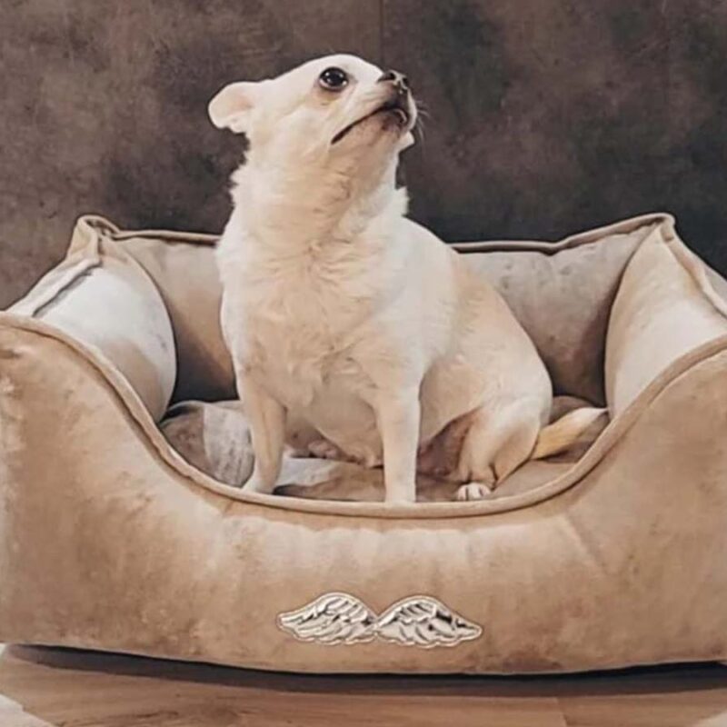 legowisko-dla-psa-premium-schodkowe-love-bezowe-2 legowisko-dla-psa-premium-schodkowe-love-bezowe-2