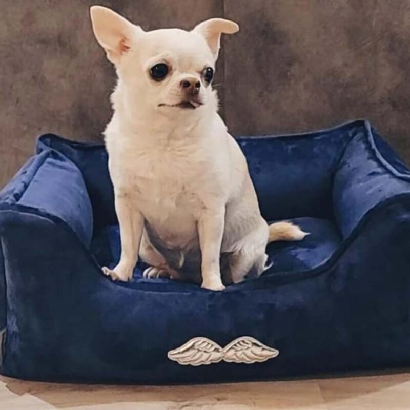 legowisko-dla-psa-premium-schodkowe-love-legowisko-dla-psa-premium-schodkowe-love-granatowa-2 legowisko-dla-psa-premium-schodkowe-love-legowisko-dla-psa-premium-schodkowe-love-granatowa-2