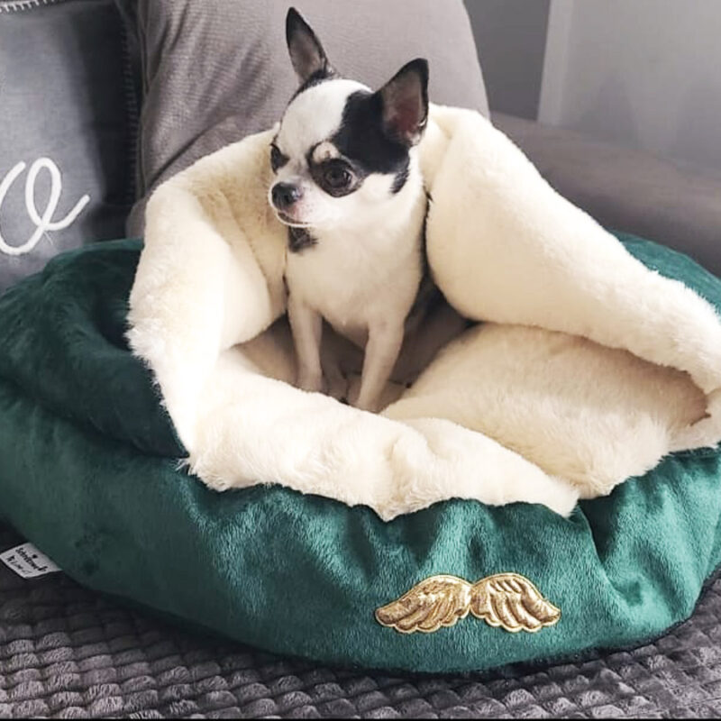 Kontakt Schodkowe Love Kontakt Schodkowe Love