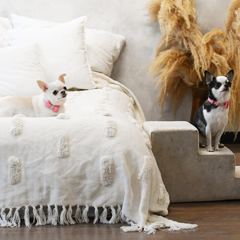 schodki-dla-psa-i-kota-classic-3-stopnie-bezowe-2 schodki-dla-psa-i-kota-classic-3-stopnie-bezowe-2