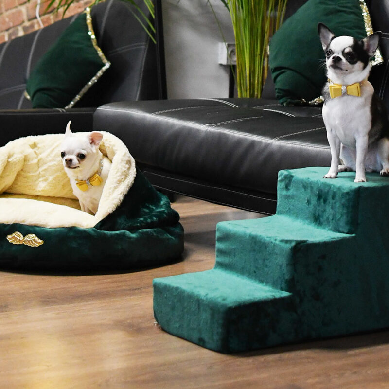 schodki-dla-psa-i-kota-classic-3-stopnie-zielone-3 schodki-dla-psa-i-kota-classic-3-stopnie-zielone-3