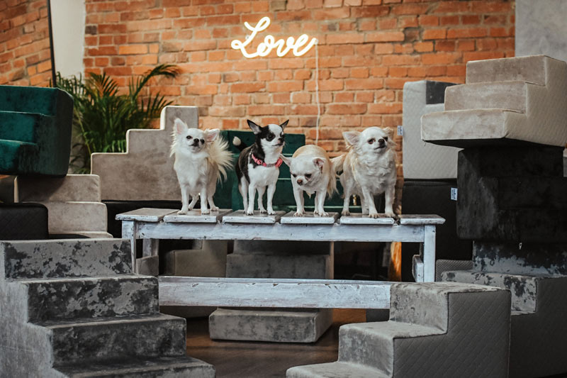 O nas Schodkowe Love O nas Schodkowe Love